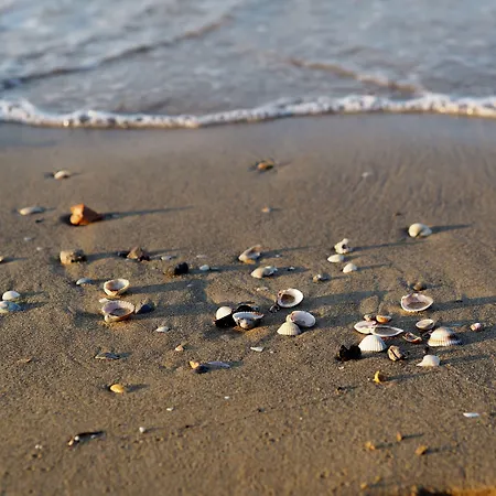 Beautiful With Terrace And View